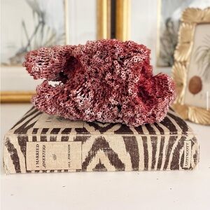 Decorative Pink Coral Sculpture